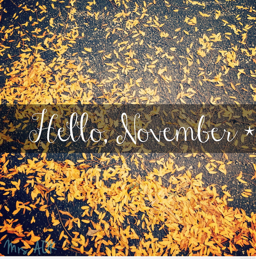 Hello November , sayings quotes and HD phone wallpaper
