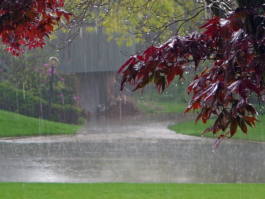Il pleut dans mon quartier, il pleut, route, quartier, nature Fond d'écran HD