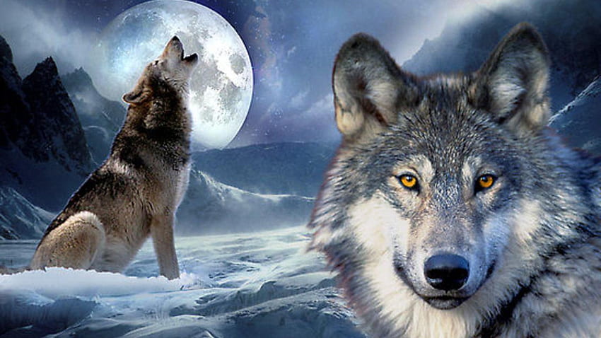 Tree Wolf Moon 17149 [] for your , Mobile & Tablet. Explore Wolf Christmas . Wolf , Wolf , Tribal Wolf, Christmas Wolves HD wallpaper