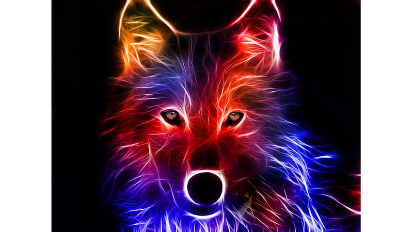 Moving Wolf, Neon Wolf HD wallpaper