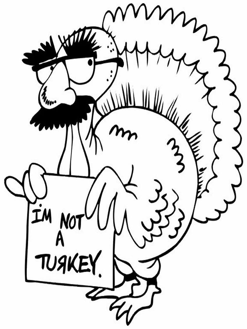 Turkey Coloring Page With Laptop, Adult Turkey HD phone wallpaper