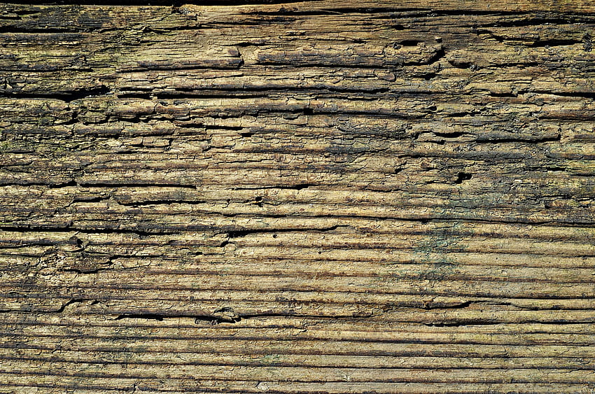 : tree, nature, forest, rock, board, floor, old, clear, natural, brown, soil, stone wall, closeup, brick, material, hardwood, , , cracks, the background, sawn timber, the structure of the, wood HD wallpaper