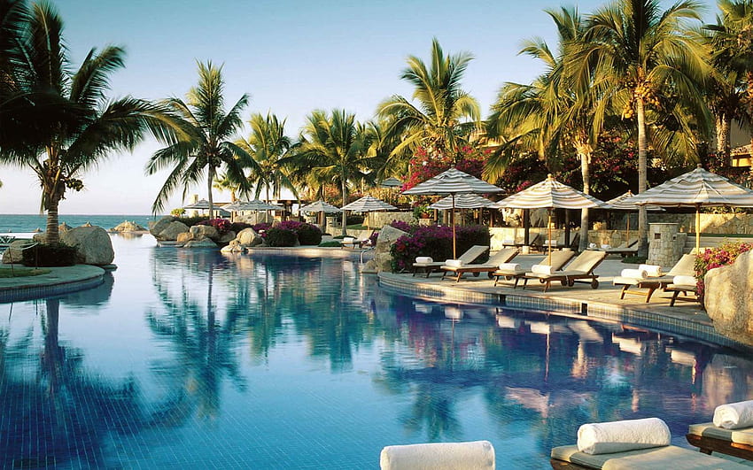 Resort en Maldivas, palmeras, Maldivas, piscina, resort, océano fondo de pantalla