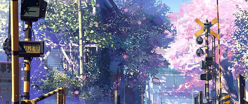 Anime 5 Centimeters Per Second Hd Wallpapers Pxfuel
