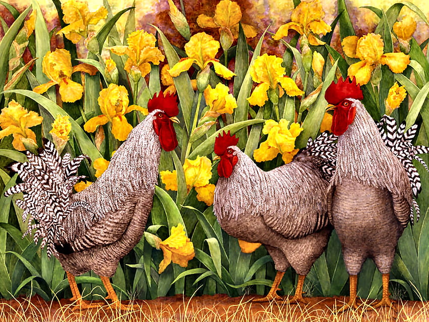 Tim Debat F, seni, cantik, ilustrasi, karya seni, layar lebar, lukisan, ayam jantan, ayam, iris, bunga, hewan ternak Wallpaper HD