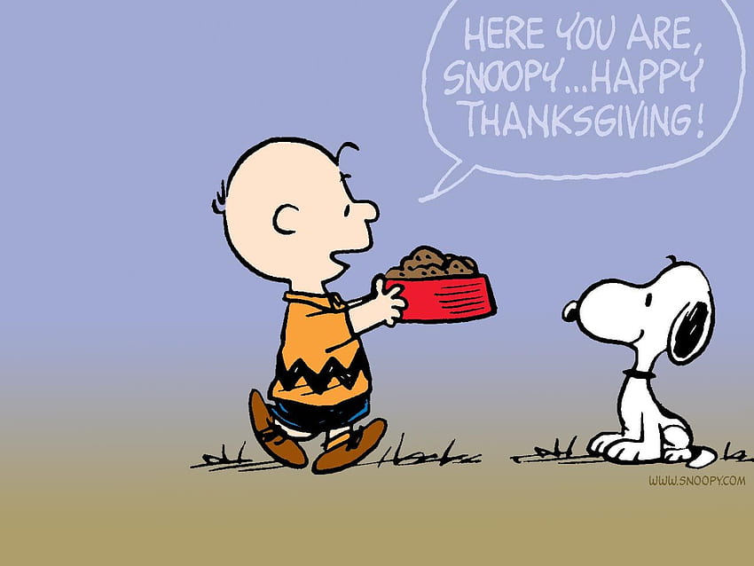 9-та улица – Блог за празнични декорации и идеи за празнични подаръци, Ден на благодарността на Чарли Браун HD тапет