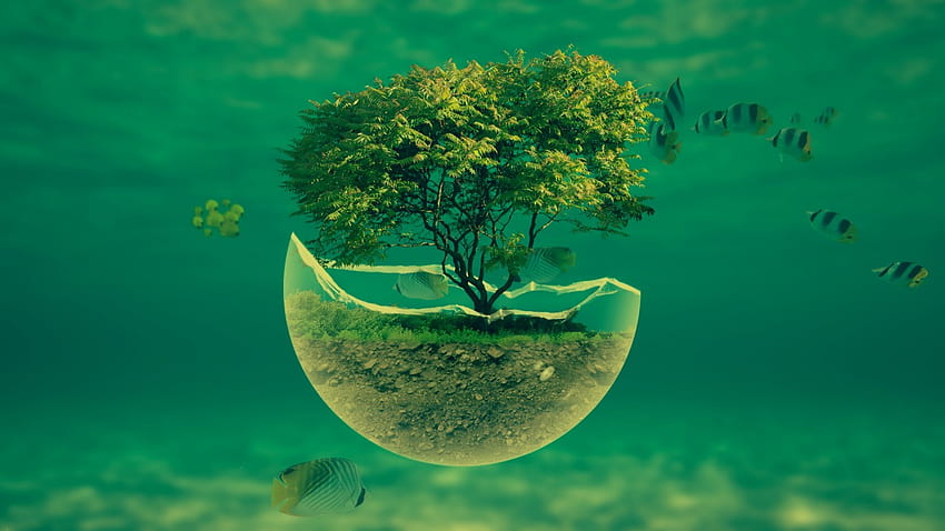 Tree In A Glass Sphere, Water, Fish, Digital Art . Tree In A Glass Sphere, Water, Fish, Digital Art Stoc HD wallpaper