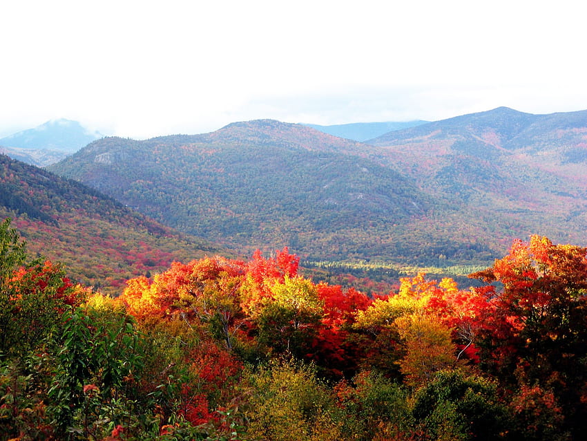 Mountain: Indian Summer New Hampshire Colors Mist Red Trees Yellow HD wallpaper