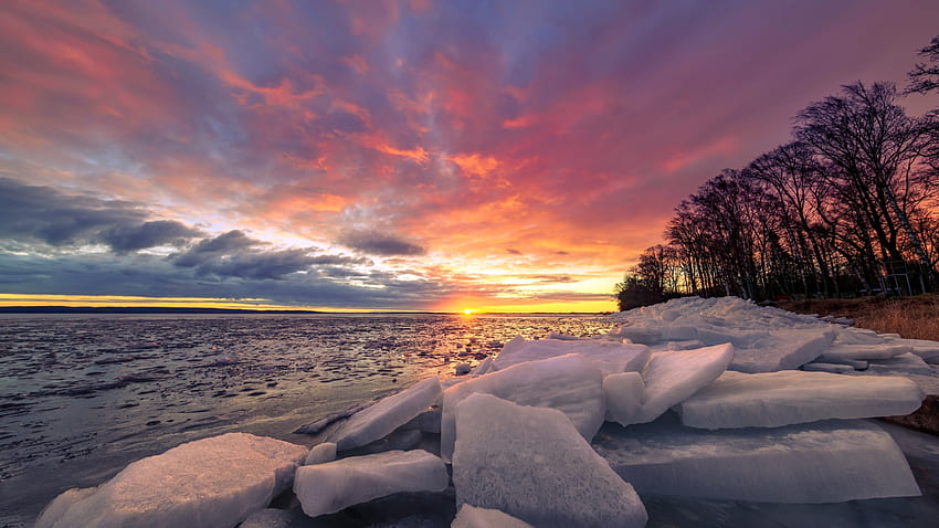 Frosty Mortning At The Lake น้ำแข็ง พระอาทิตย์ขึ้น เมฆ ต้นไม้ สีสัน ท้องฟ้า ดวงอาทิตย์ วอลล์เปเปอร์ HD