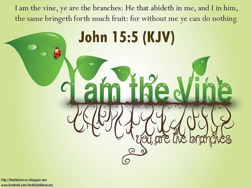 King james biblical quotes about peace 50 king james bible verses on afari HD wallpaper