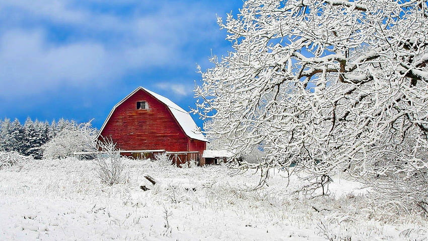Natur, Bäume, Himmel, Schnee, Gebäude HD-Hintergrundbild