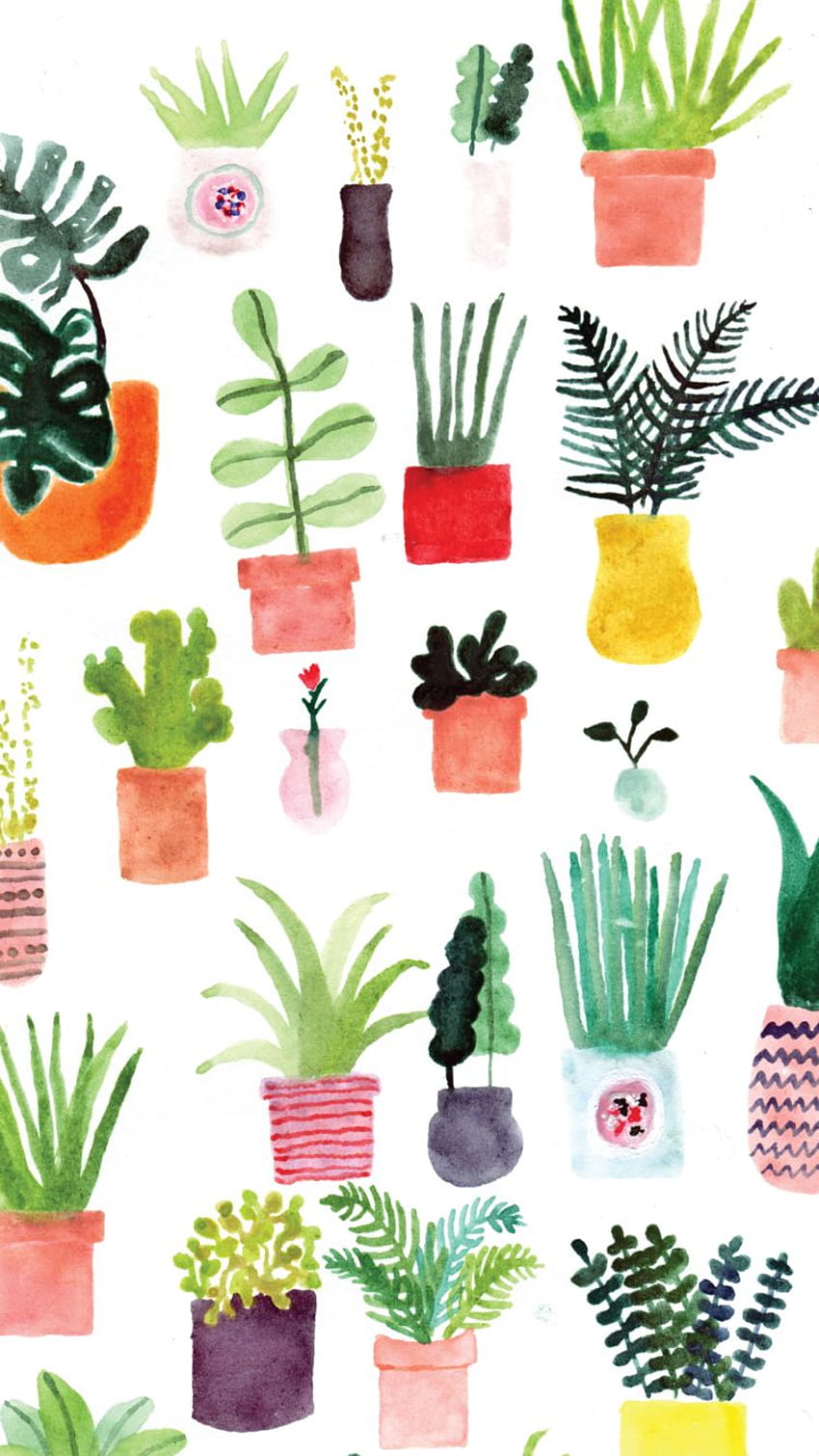 Plant illustration. Watercolor plants, Plant , iPhone, House Plant HD phone  wallpaper | Pxfuel