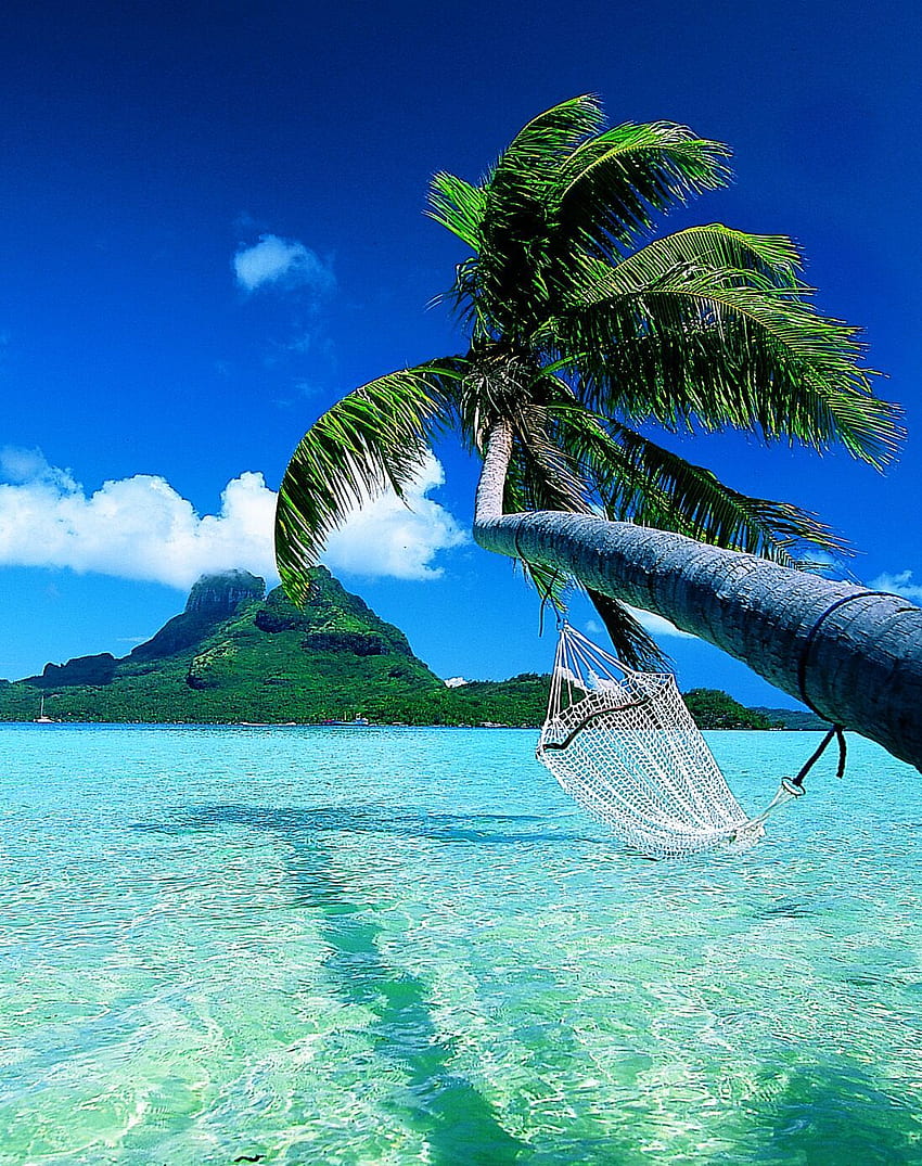 ビーチ、夏、そして海 - グラン カナリア島の美しい場所、プエルトリコ HD電話の壁紙