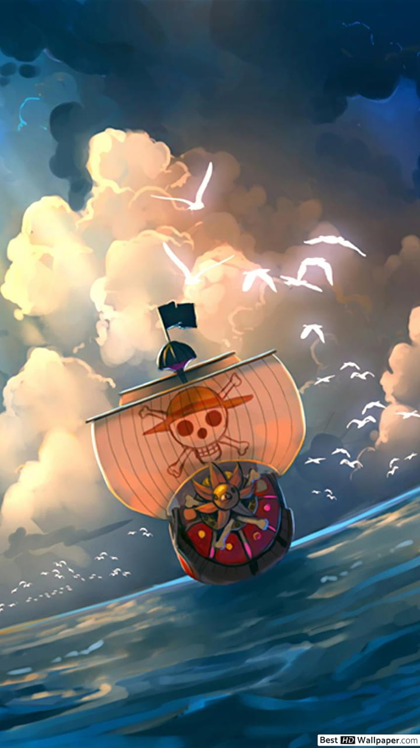 One Piece - Thousand Sunny HD phone wallpaper
