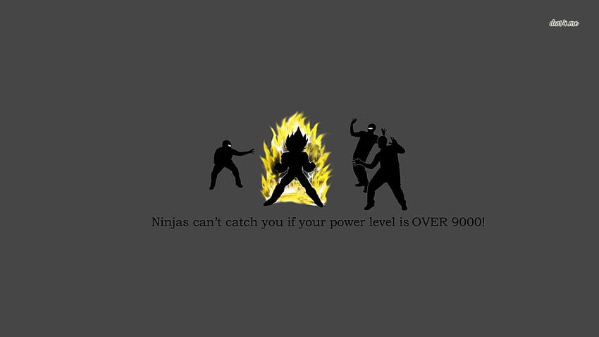 Ninjas can't catch you if your power level is high, Silat HD wallpaper