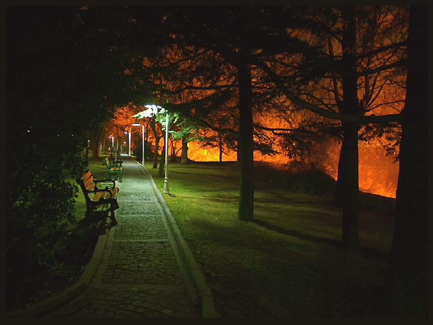 เดินกลางคืน, กลางคืน, สวนสาธารณะ วอลล์เปเปอร์ HD