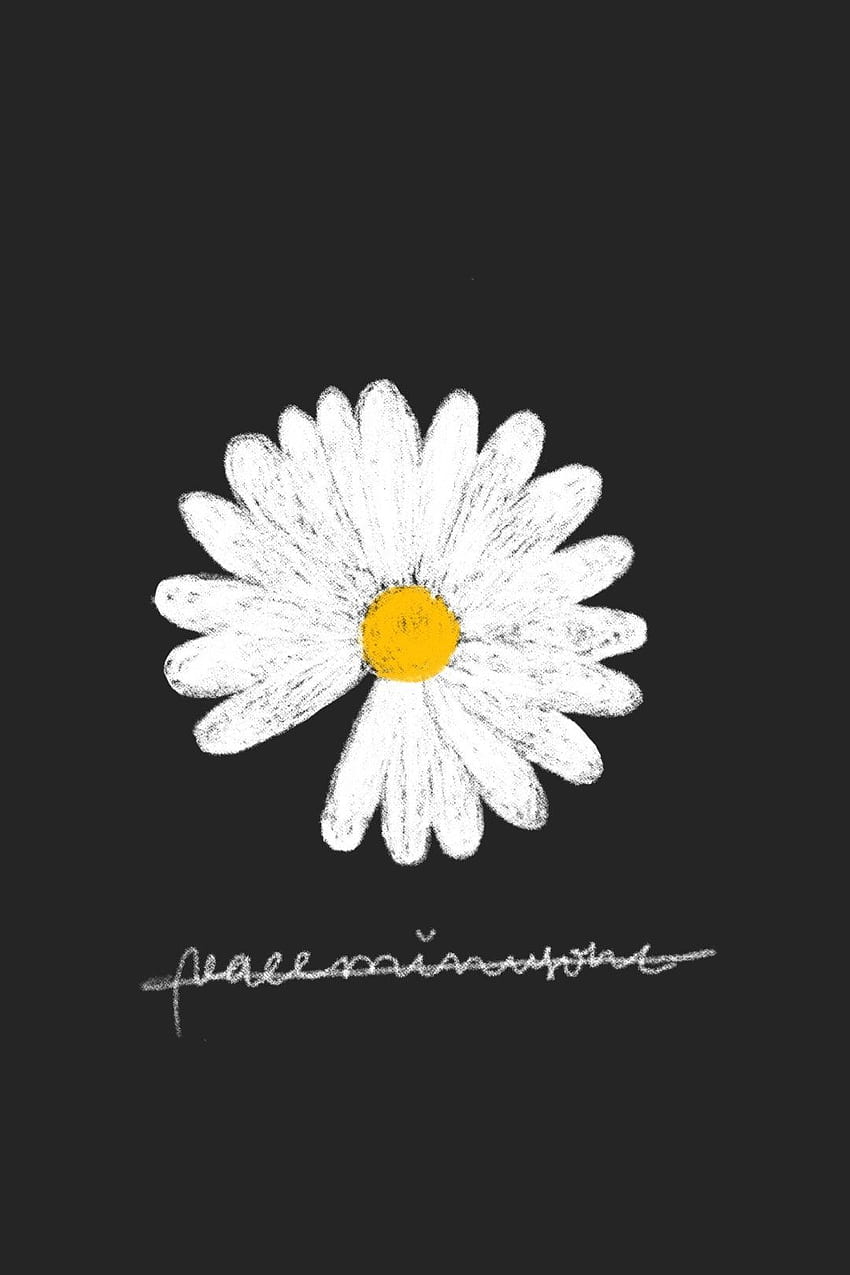 peaceminusone (สร้างสรรค์โดย GDragon) Bunga daisy, Lukisan bunga matahari, Lukisan bunga, ดอกเดซี่สีดำ วอลล์เปเปอร์โทรศัพท์ HD
