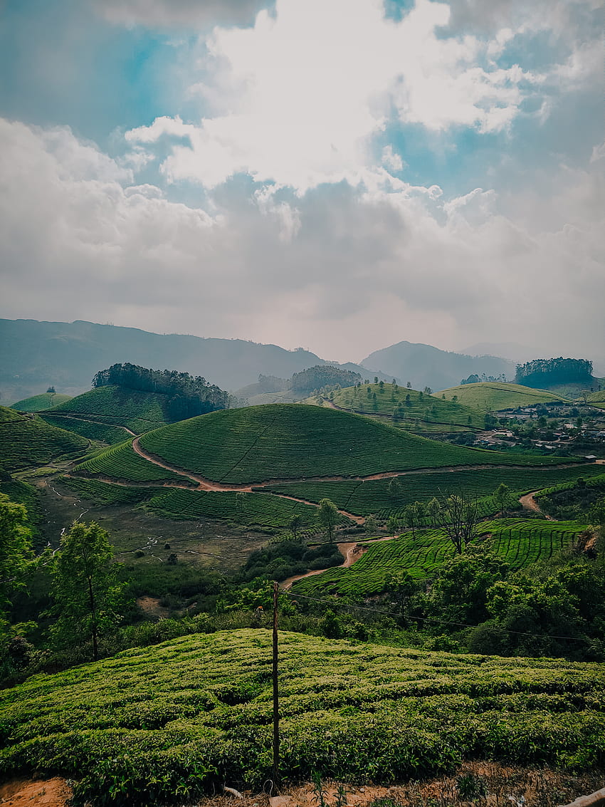 Munnar, sky, tea, mountain, plantation, clouds, greenary HD phone wallpaper