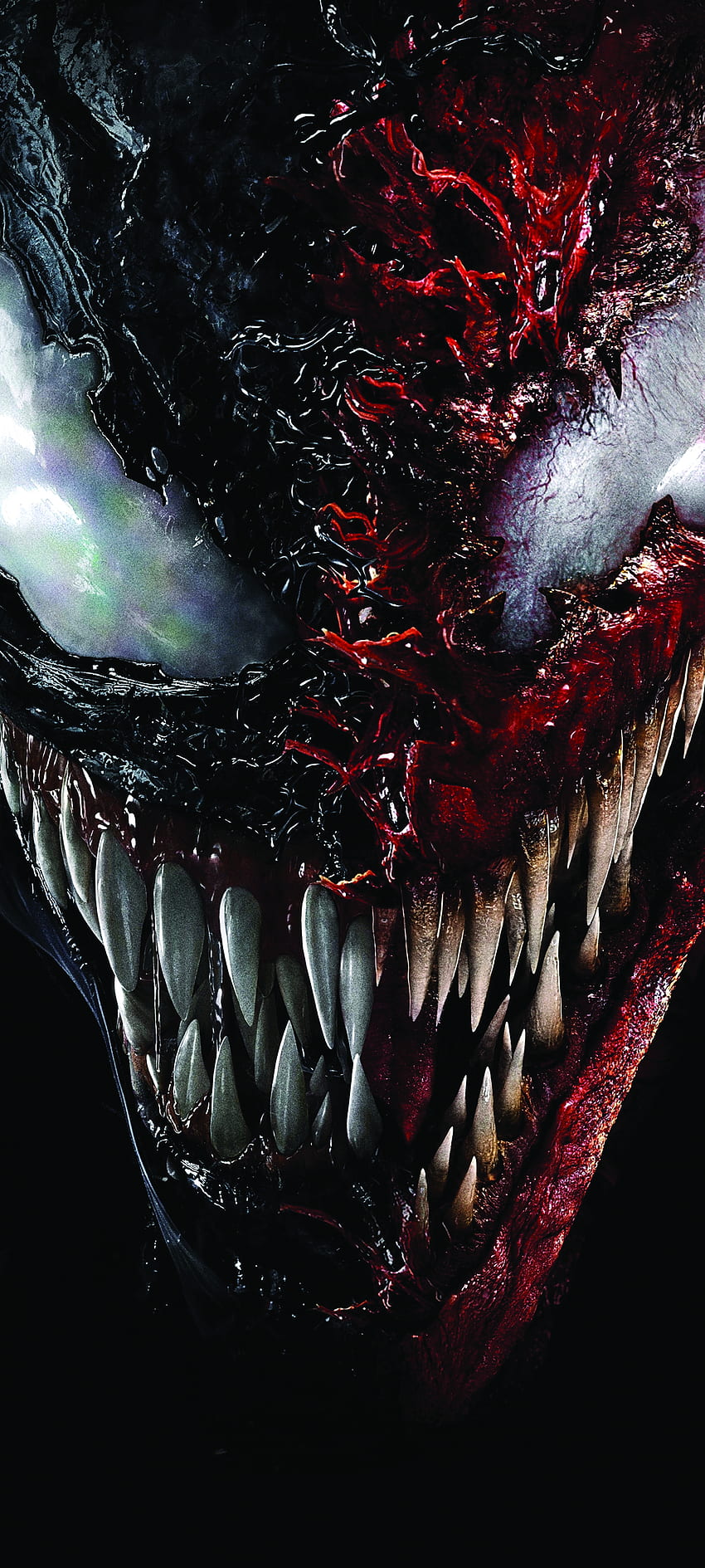 Let There Be Carnage, Movie, Venom, Father & Son HD phone wallpaper