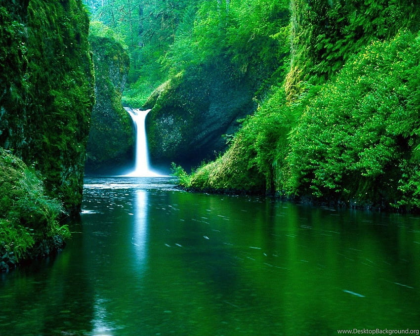 Green Nature Eco Friendly Background HD wallpaper