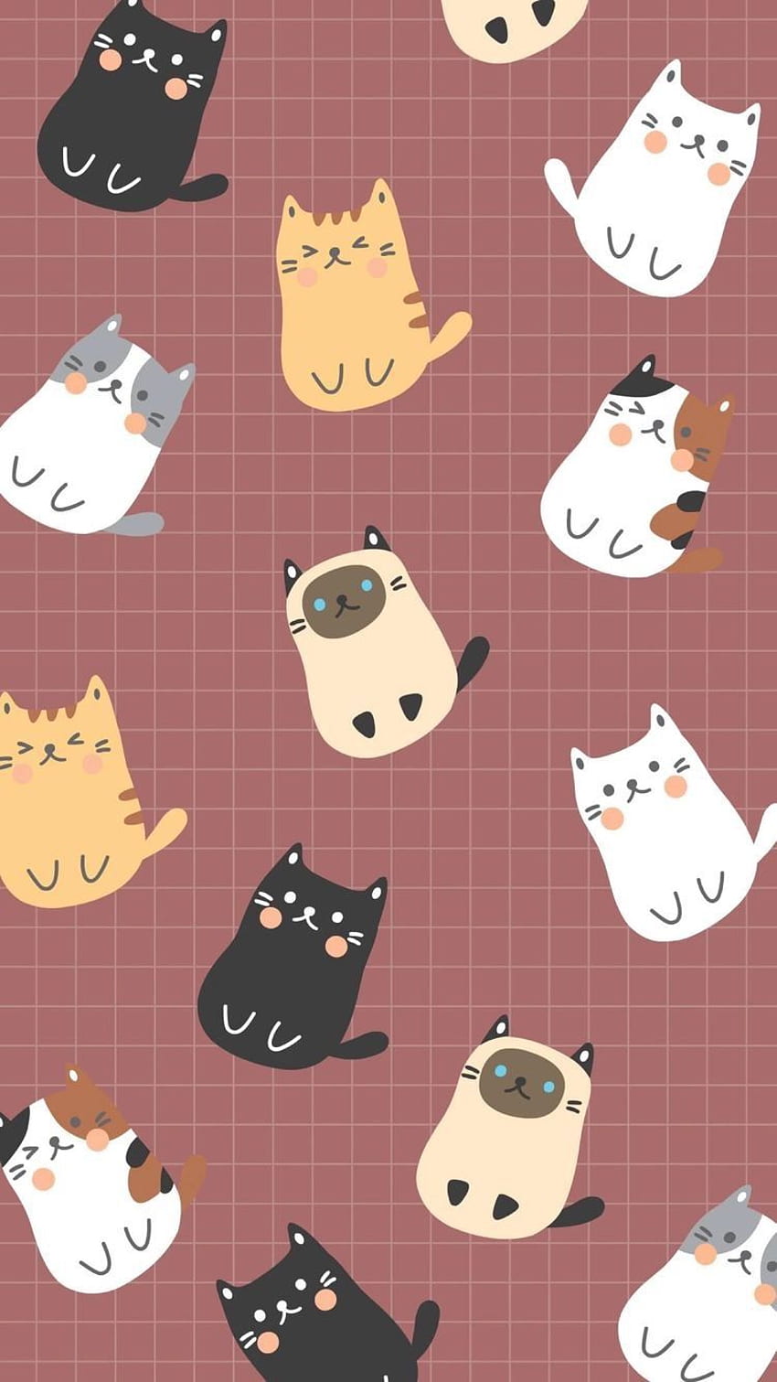 fondos de pantalla de gatos li  Aplicaciones en Google Play