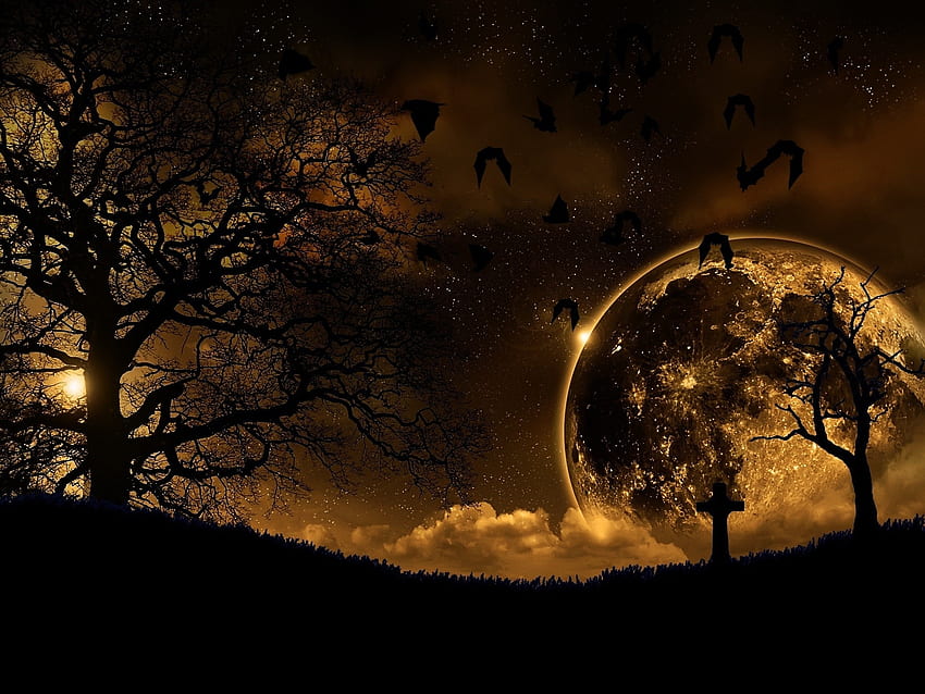 ภูมิทัศน์ ธรรมชาติ นก ต้นไม้ กลางคืน มืด ดาวเคราะห์ วอลล์เปเปอร์ HD