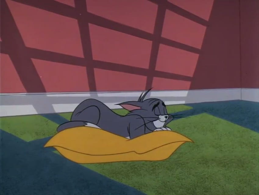 Sleeping: Tom and Jerry Cartoon HD wallpaper