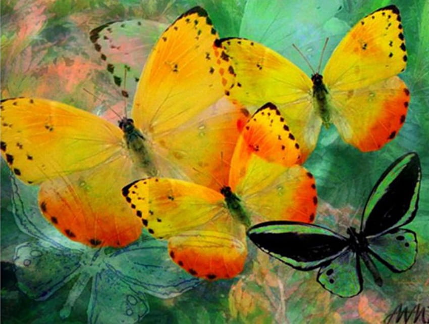 Златни жълти пеперуди, градина, изкуство, жълти пеперуди HD тапет