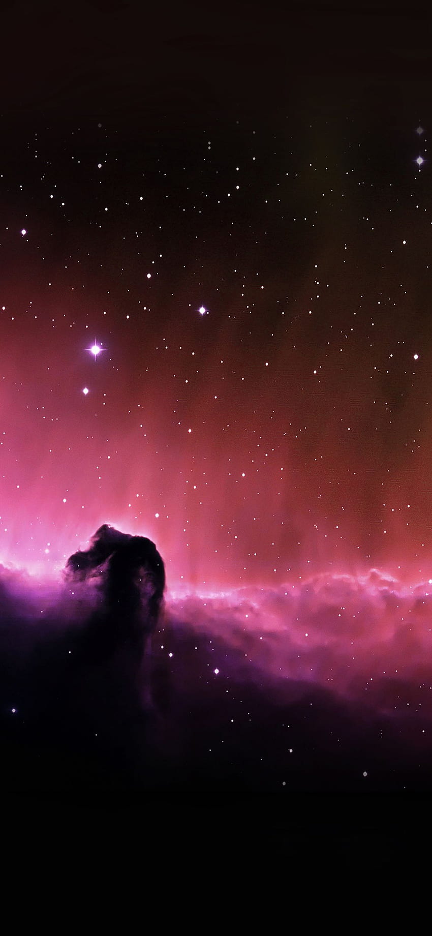 iPhone11 . Pferdekopf Nebel Himmel Weltraum Sterne, Sterne iPhone 8 HD-Handy-Hintergrundbild