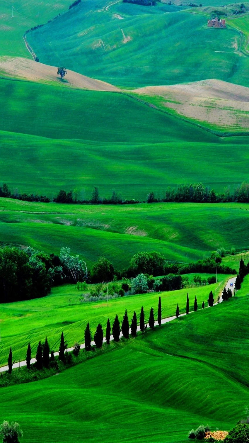緑の景色。 風景 , 風景 , 美しい自然 HD電話の壁紙