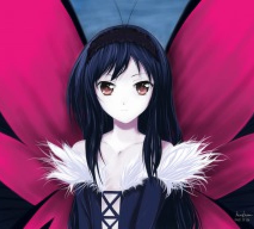 Kuroyukihime, ailes, accel world, anime, papillon, fille, cheveux longs Fond d'écran HD