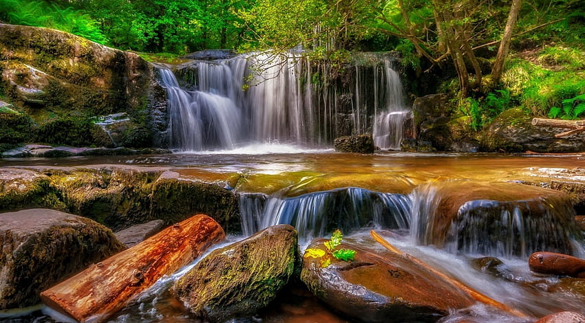 น้ำตกหินแม่น้ำที่น่าหลงใหล น้ำตก หิน แม่น้ำ ธรรมชาติ ป่าไม้ วอลล์เปเปอร์ HD