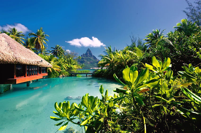 Rest in Bora Bora, relax, vacation, Bora Bora, holiday, ocean, palms, sea, bungalow, exotic, hotel, beautiful, mountain, summer, rest, breeze, hut, pool, sky, lovely, resort HD wallpaper