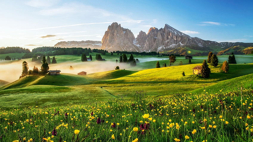 ドロミテ、アルペ ディ シウジ、イタリア、アルプス、春、朝、山、風景、牧草地、霧、花、木、雲、花、空 高画質の壁紙