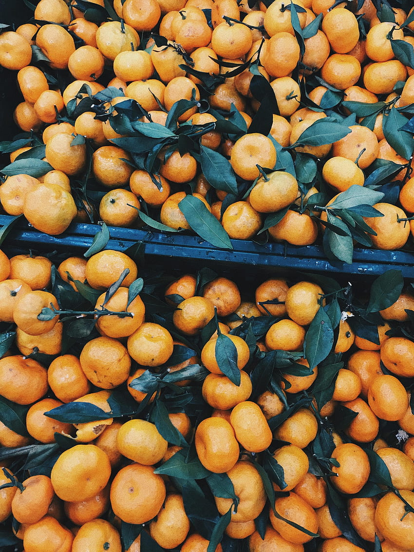 Tangerines, Fruits, Food, Leaves, Branches, Citrus HD phone wallpaper