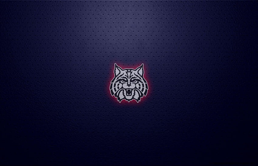 Arizona Wildcats Phone Best Online - University Of Arizona Wildcats,  Wildcats Logo HD wallpaper | Pxfuel