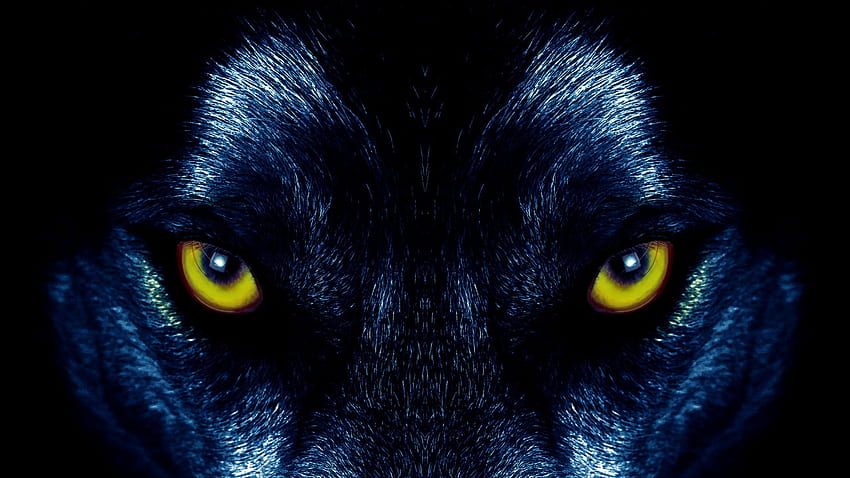 สีน้ำเงินเข้ม : มิถุนายน 2018, Evil Wolf Eyes วอลล์เปเปอร์ HD