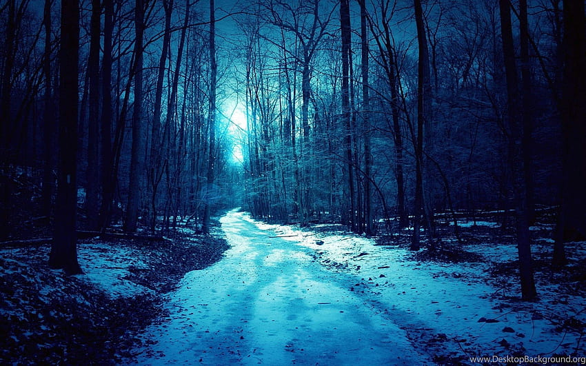 Forest Blue Winter Dark Spooky Road Background, Musim Dingin 2880 X 1800 Retina Wallpaper HD