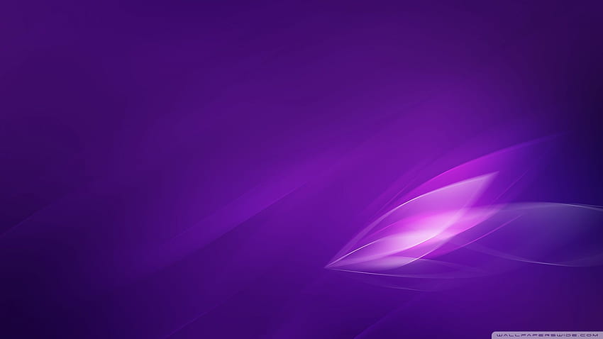 Background Purple Color -, Violet Color HD wallpaper