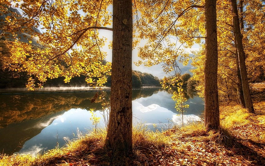 природа, пейзаж, есен, река, листа, хълм, дървета, отражение, жълто, трева, вода / и мобилен фон HD тапет