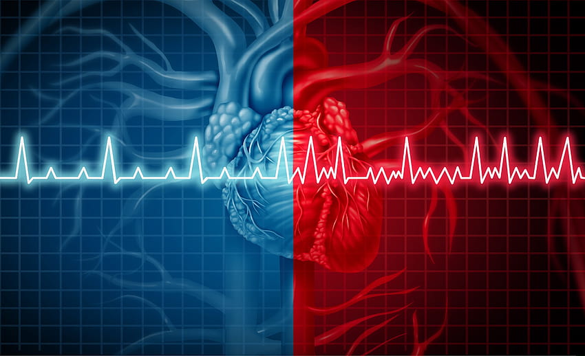 심장이 통제 불능일 때: 심방 세동이란 무엇이며 어떻게 대처할 수 있습니까?, 심장 HD 월페이퍼