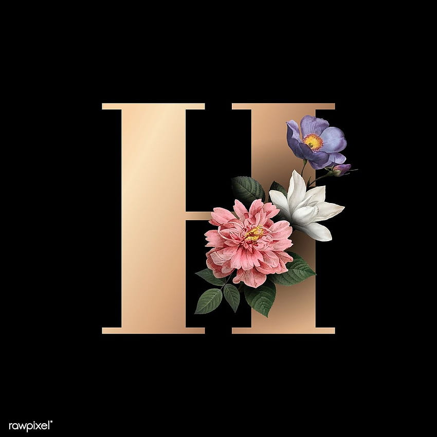 vetor da letra H do alfabeto floral clássico e elegante sobre h, alfabeto, ba. Arkaplan tasarımları, Disney çizimleri, Kartvizit tasarımı Papel de parede de celular HD