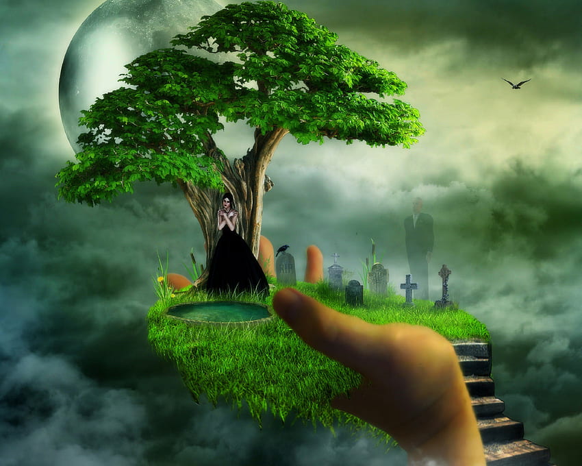 'Highest Lands', ladders, plants, soul, digital Art, trees, castle, way up, man, attractions in dreams, girl, swamp, grass, surreal, hand, woman, love four seasons, graves, spirit, manipulation, flying birds, clouds, nature, sky HD wallpaper