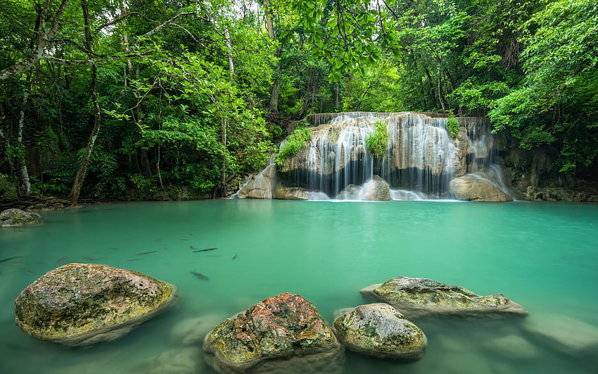아름다운 녹색 호수, 폭포, 열대 숲, 태국, 돌, 해상도가 있는 정글. 고품질 HD 월페이퍼