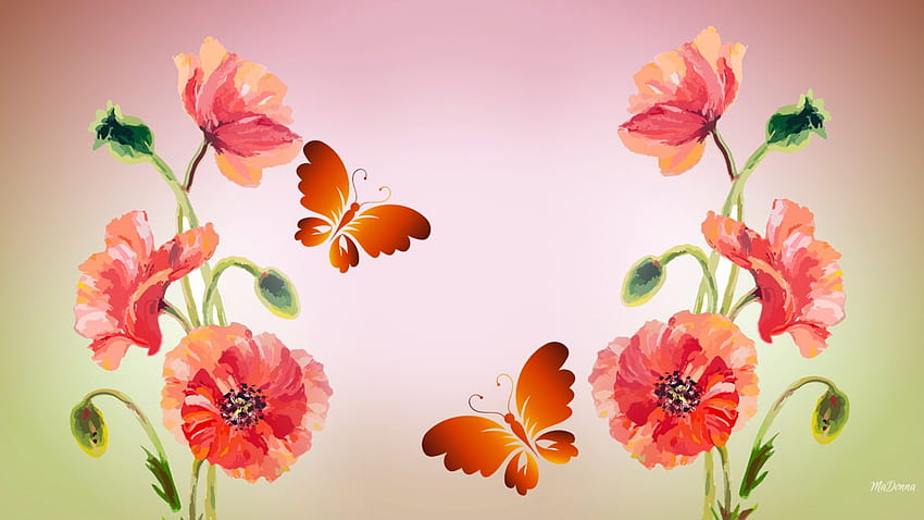 Poppies dan Kupu-kupu, kupu-kupu, musim panas, bunga poppy, bunga liar, bunga, musim semi Wallpaper HD