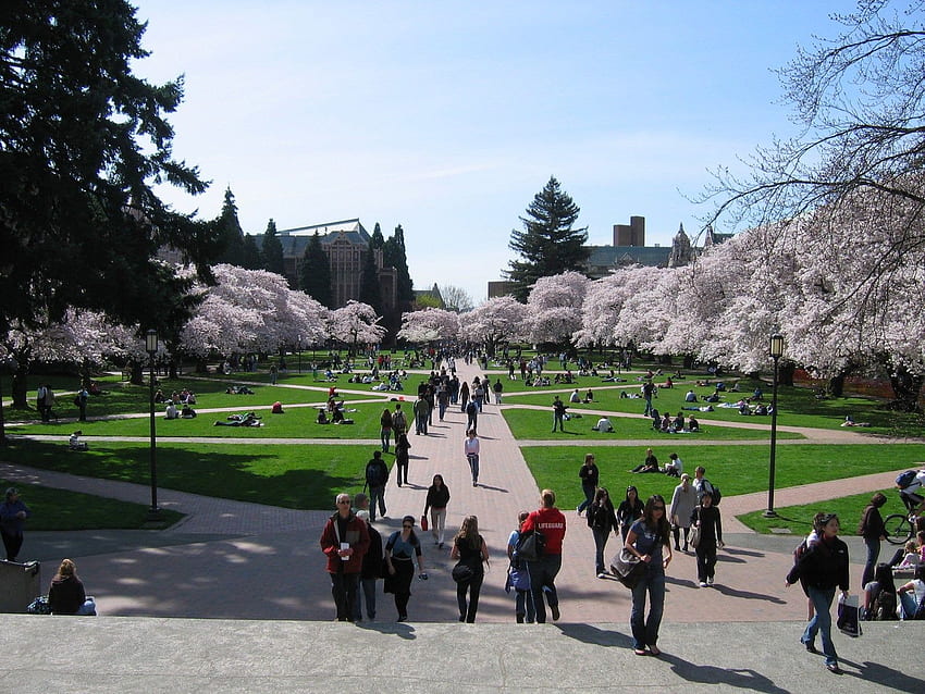 In einem beispiellosen Schritt hat die University of Washington gerade A HD-Hintergrundbild