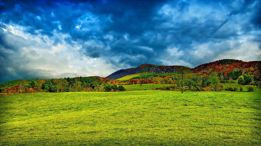 ฟิลด์: ภูมิทัศน์หญ้า ทุ่งเมฆ ฟาร์มฤดูใบไม้ร่วงธรรมชาติที่สวยงาม ทิวทัศน์ฟาร์ม วอลล์เปเปอร์ HD