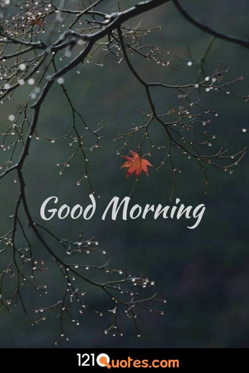 Beautiful Good Morning , , , Pic in, Good Morning Nature HD phone wallpaper