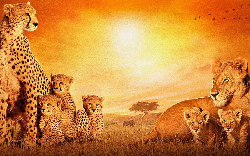 Posterhouzz Movie African Cats Lion Leopard Background Fine Art Paper Print Poster_** MOV5453: Amazon HD wallpaper