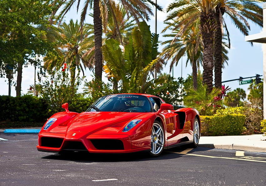 Ferrari, Cars, Enzo HD wallpaper